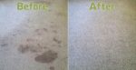 Carpet Cleaners Bradford